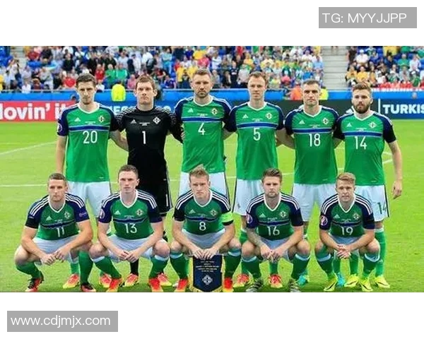 法国与爱尔兰足球实力深度对比及未来发展趋势分析