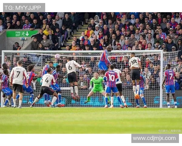 米堡与维拉精彩对决全场录像回放及精彩瞬间分析