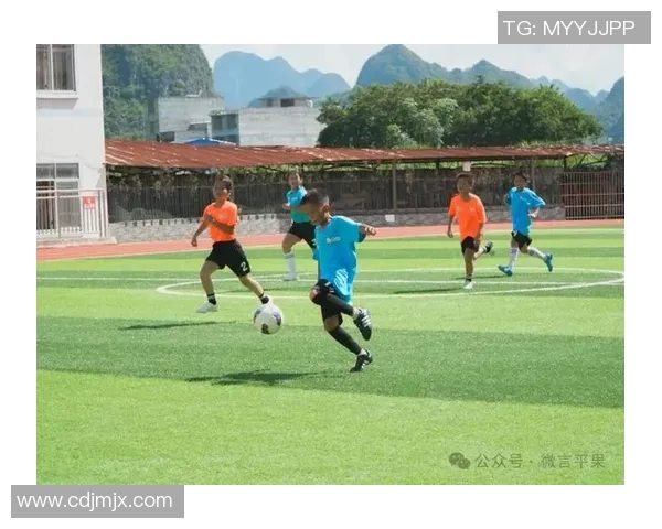 平果市少年足球比赛精彩直播全程回顾与赛况分析