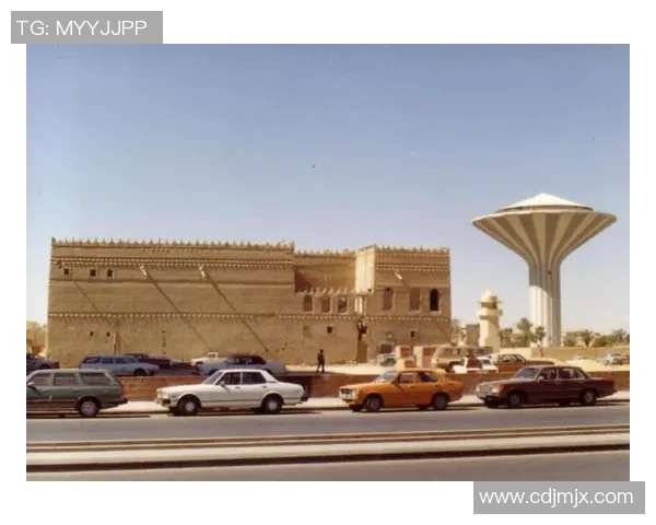 沙特与埃及经济文化发展对比分析及其影响因素探讨 沙特与埃及经济文化发展对比分析及其影响因素探讨