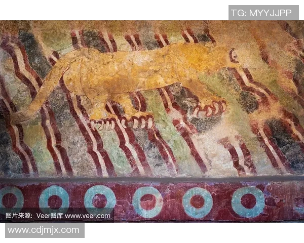 美洲狮与墨西哥美洲的生态对抗与生存智慧探讨 美洲狮与墨西哥美洲的生态对抗与生存智慧探讨